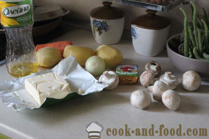 Supa de ciuperci cu brânză - cum să gătească supa de brânză cu ciuperci dreptul rapid gustoase, cu un pas cu pas reteta fotografii
