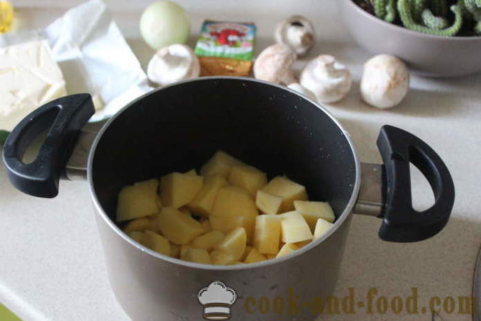 Supa de ciuperci cu brânză - cum să gătească supa de brânză cu ciuperci dreptul rapid gustoase, cu un pas cu pas reteta fotografii