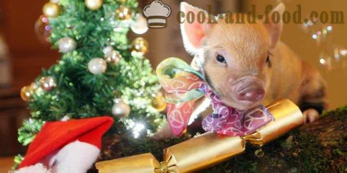 Retete simple pentru Anul Nou 2019- ce să gătească pentru Anul Nou 2019 Anul Porcului (Boar)