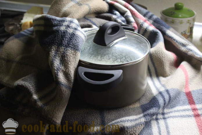 Iaurt de casă din lapte să fermenteze - cum să facă iaurt acasă, pas cu pas reteta fotografii