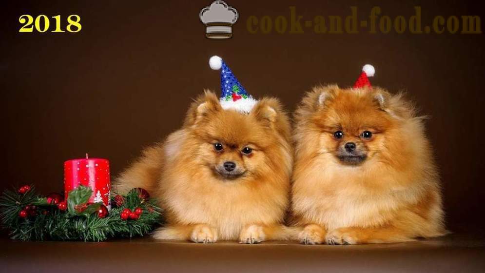 Wallpaper gratuit de Crăciun 2018 câini, câini și căței - descărcați imagini de fundal de pe desktop-ul tau gratuit