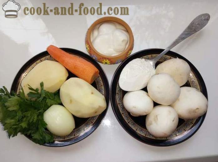 Supa de ciuperci în Carpați - modul de a găti ciuperci ciuperci yushku, pas cu pas reteta fotografii