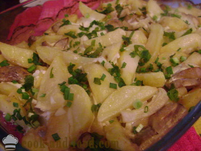 Cartofi copți în cuptor cu ciuperci și smântână - cât de delicioase cartofi copți în cuptor, cu un pas cu pas reteta fotografii