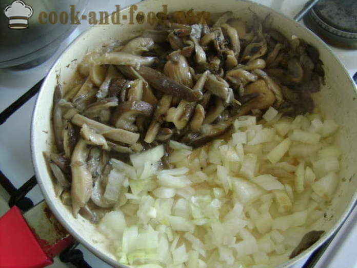 Fara carne sarmale leneș în cuptor - cum să gătească un delicios sarmale leneș în cuptor, cu un pas cu pas reteta fotografii