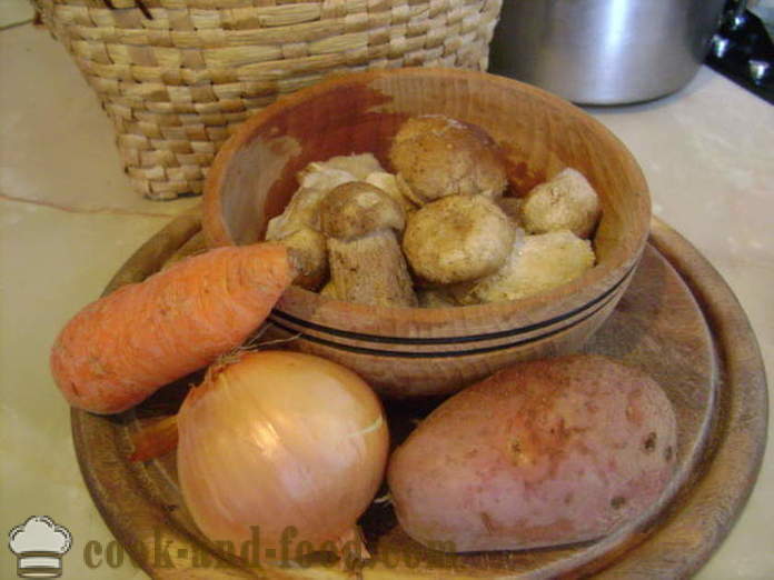 Supa de ciuperci delicioase din ciuperci albe congelate - cum să gătească supa de ciuperci albe congelate, un pas cu pas reteta fotografii