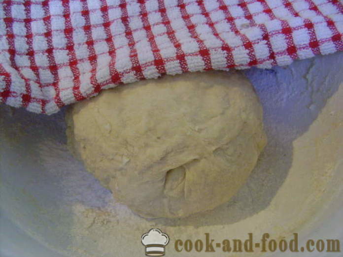 Aluat de drojdie pentru plăcinte prăjite cu lapte - cum să se pregătească aluat dospit pentru plăcinte prăjite în ulei, cu un pas cu pas reteta fotografii