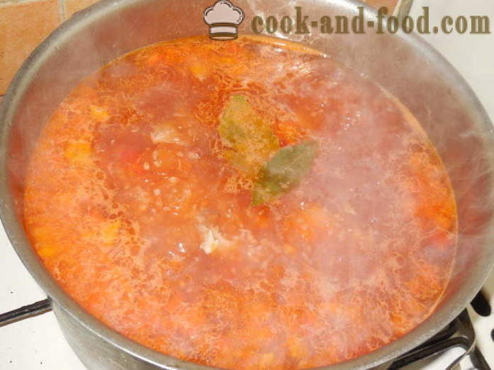 Dietetice supa de supa de curcan cu legume - modul de a găti o supă de curcan delicios, un pas cu pas reteta fotografii