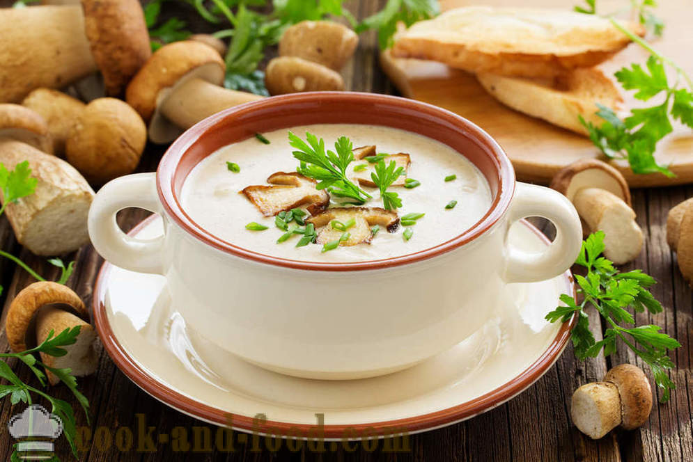 Alb supa de ciuperci: două rețete de mâncăruri delicioase