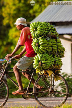 Banana: Africa și Asia de desert supa - retete video de la domiciliu
